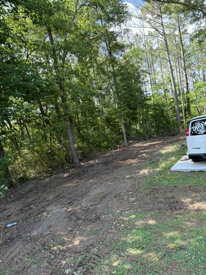 Cleared access path along a wooded property line