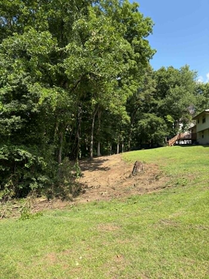 Bank cleared of brush back to the tree line beside a lawn